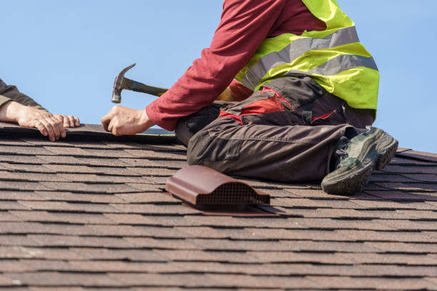 Best Local Roofing Companies  in Desoto Lakes, FL